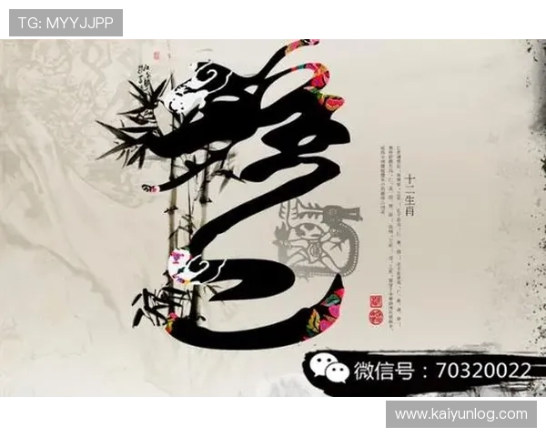 开运网站登录入口指南帮助用户顺利进入平台实现每日好运气提升